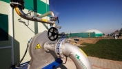 Uskoro prvo kogenerativno postrojenje na biomasu u Srbiji