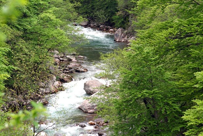 Nacionalni park Sutjeska: Ministarstvo traži vanredno preispitivanje presude