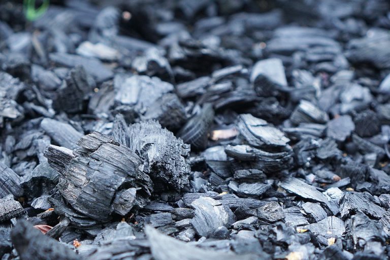 Raspisan javni poziv za dodjelu koncesije za istraživanje uglja na Bukovoj kosi