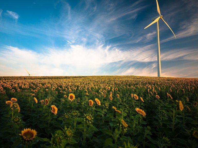 Vlada Srbije odredila maksimalnu cijenu premije za vjetar i solar